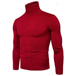 🔥Offre de Noël limitée dans le temps-49% DE RÉDUCTION 🔥- Chandail chaud col roulé pour homme