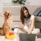 🐶Jouet de puzzle interactif pour chien & slow Feeder (deux en un)😻