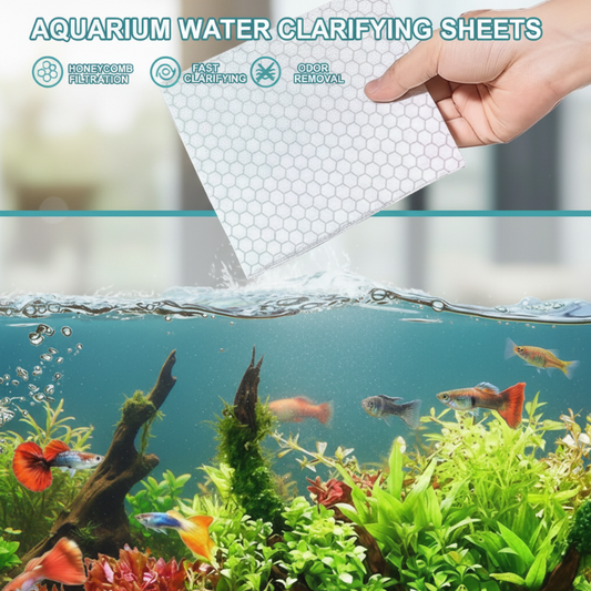 ⚡Offres spéciales Black Friday🐠 ACHETEZ-EN 1, OBTENEZ-EN 1 GRATUITEMENT ! ✨ FEUILLES PURIFICATRICES POUR AQUARIUM