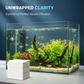 ⚡Offres spéciales Black Friday🐠 ACHETEZ-EN 1, OBTENEZ-EN 1 GRATUITEMENT ! ✨ FEUILLES PURIFICATRICES POUR AQUARIUM