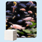 ⚡Offres spéciales Black Friday🐠 ACHETEZ-EN 1, OBTENEZ-EN 1 GRATUITEMENT ! ✨ FEUILLES PURIFICATRICES POUR AQUARIUM