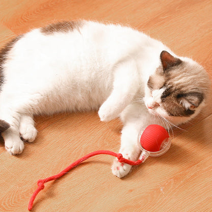 🔥Boule Roulante Automatique Intelligente pour Animaux de Compagnie
