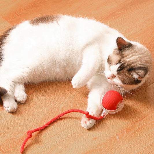 🔥Boule Roulante Automatique Intelligente pour Animaux de Compagnie