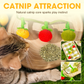 ✨ 67% de réduction ! 🐱 Plus de nuits tranquilles ! Ficelle de jeu en forme de fruit pour fatiguer votre chat naturellement
