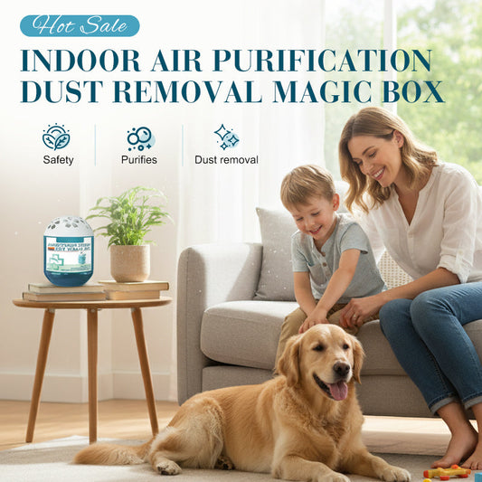 ✨Boîte magique pour purifier l'air intérieur et éliminer la poussière🍋‍🟩