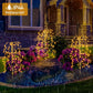 🌞Lumières de Jardin Solaires ✅100 LEDs & Étanches IP55 | Ambiance Chaleureuse🌙-50% AUJOURD’HUI🔥