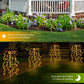 🌞Lumières de Jardin Solaires ✅100 LEDs & Étanches IP55 | Ambiance Chaleureuse🌙-50% AUJOURD’HUI🔥
