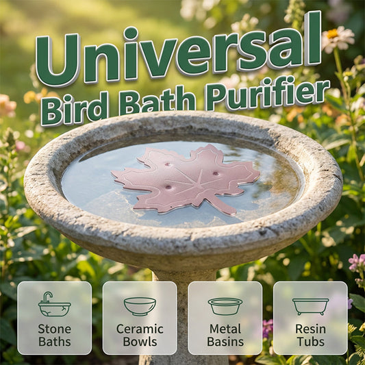 🍁Purificateur en Feuille d’Érable pour Bain d’Oiseaux – Universel, Assainissant & Sain
